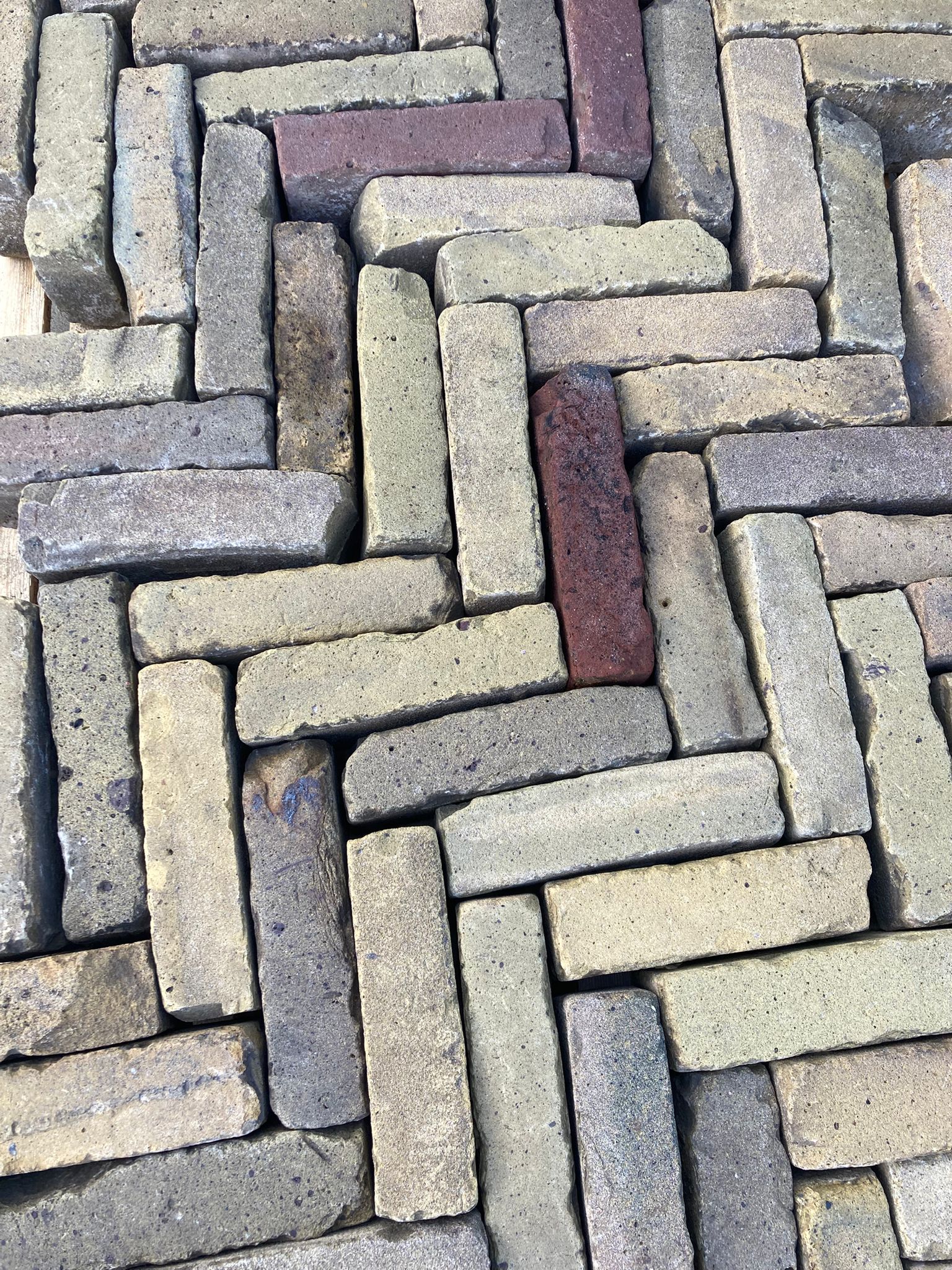 Waalformaat bont genuanceerd (P53) - Afbeelding 6