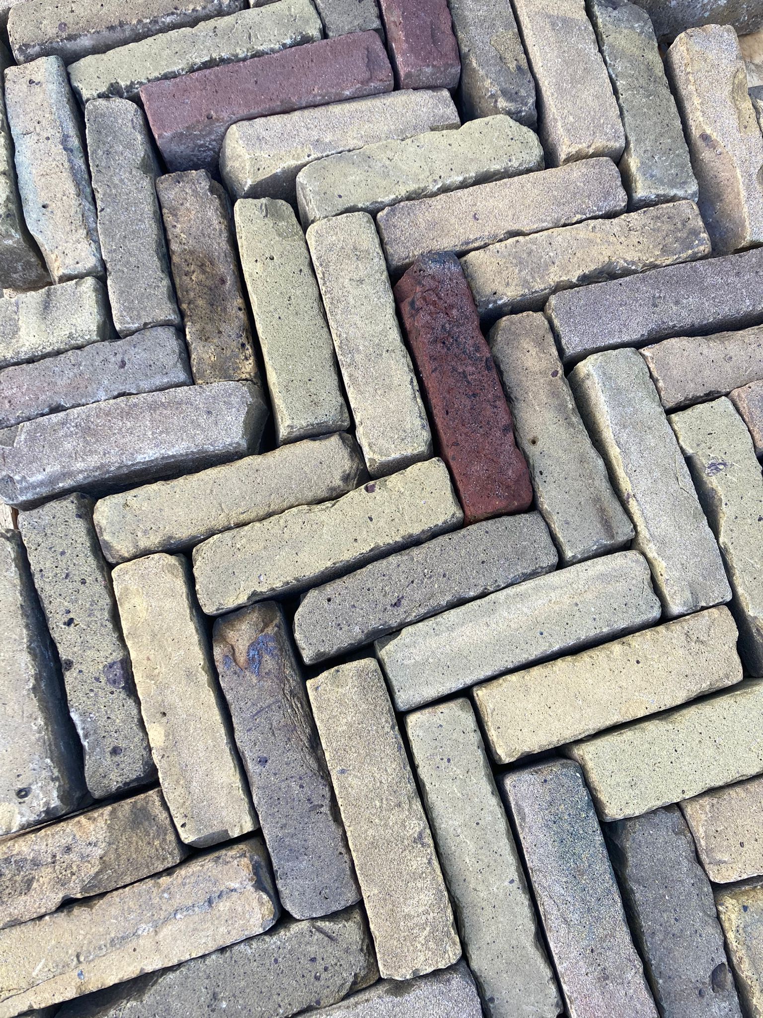 Waalformaat bont genuanceerd (P53) - Afbeelding 4