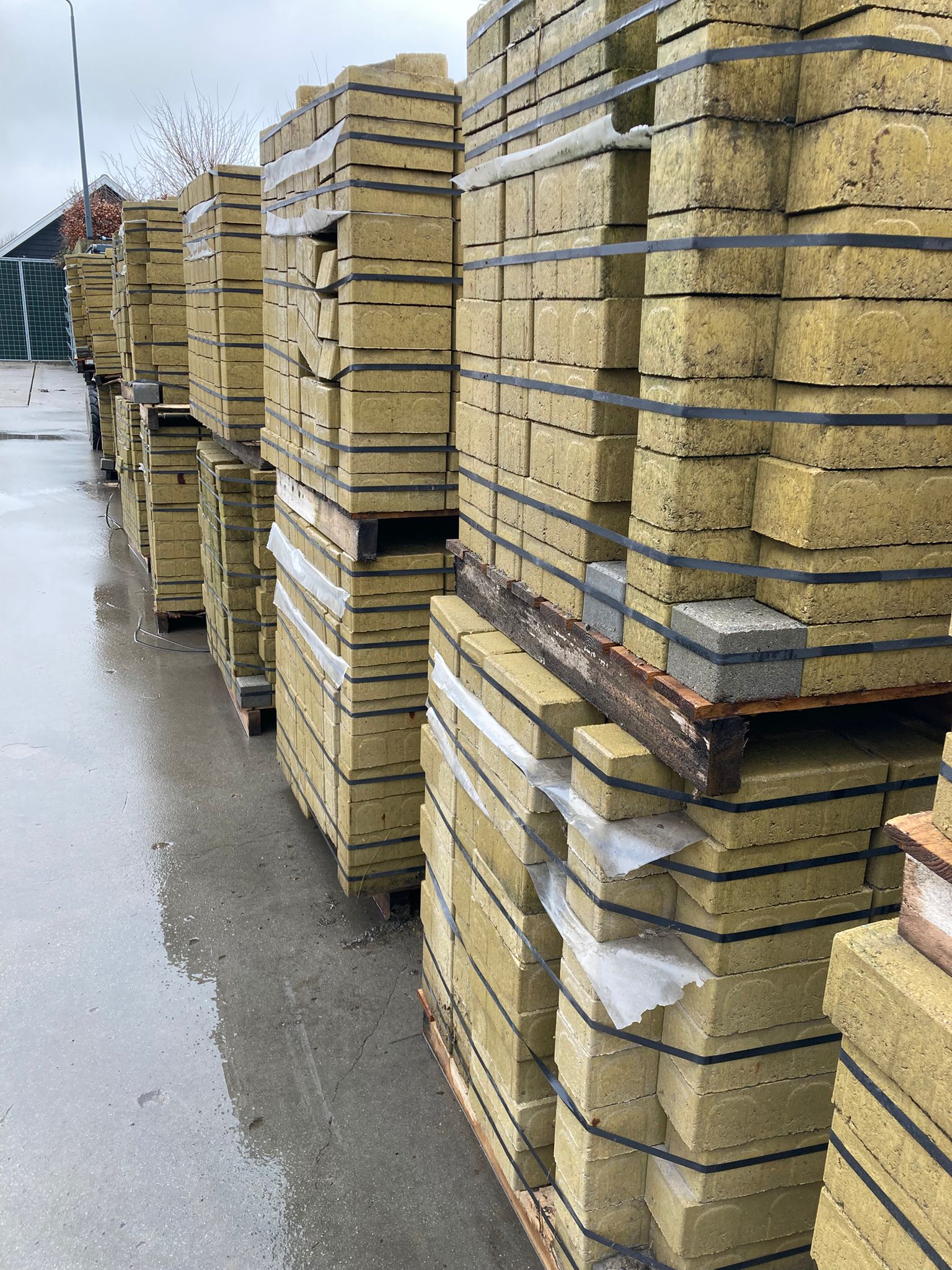 BKK / betonklinker geel (P09) - Afbeelding 5