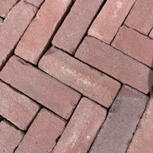 Dikformaat rood-paars (P20)