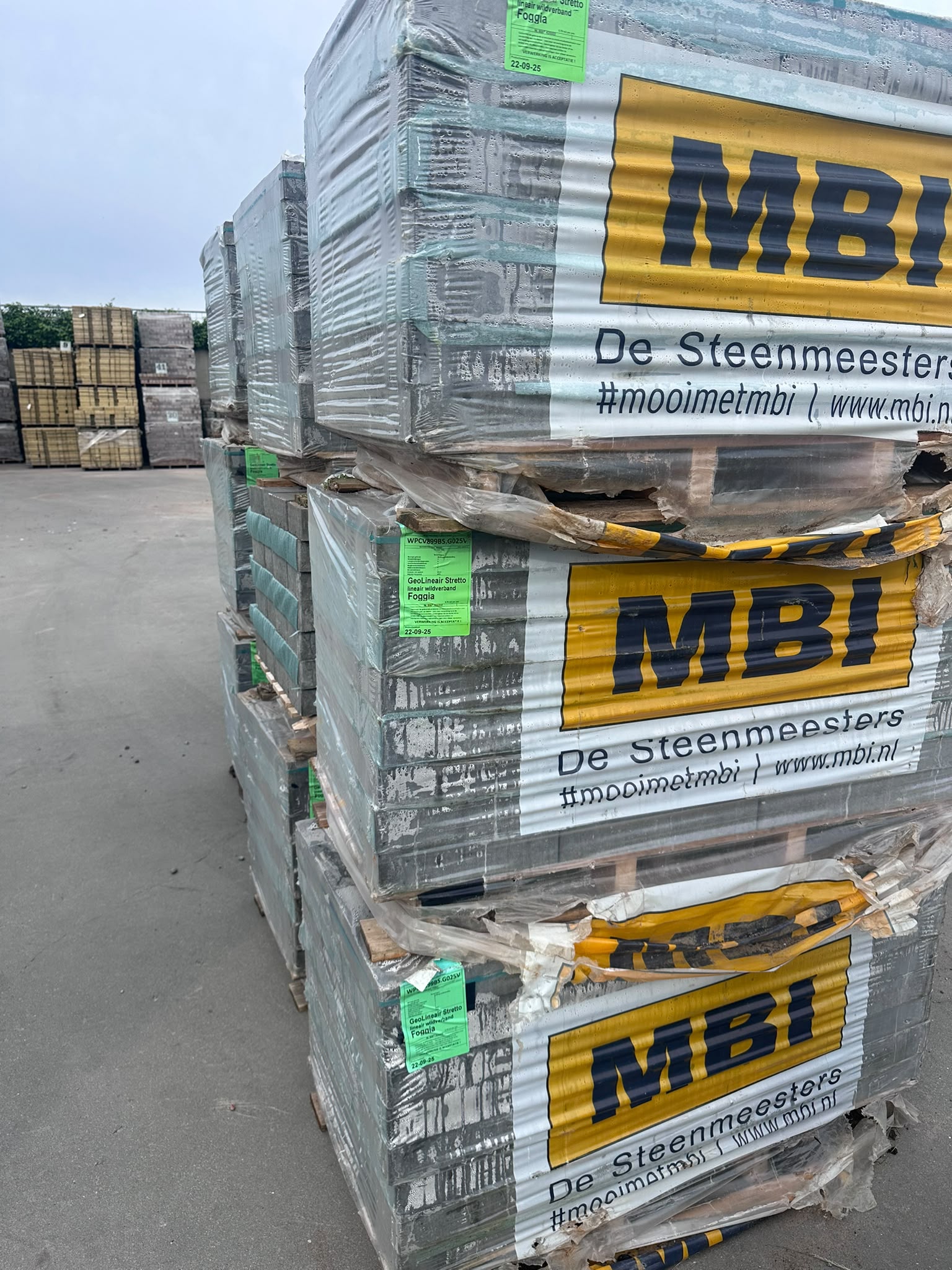 Geo Lineair Stretto Foggia (P45) - Afbeelding 3