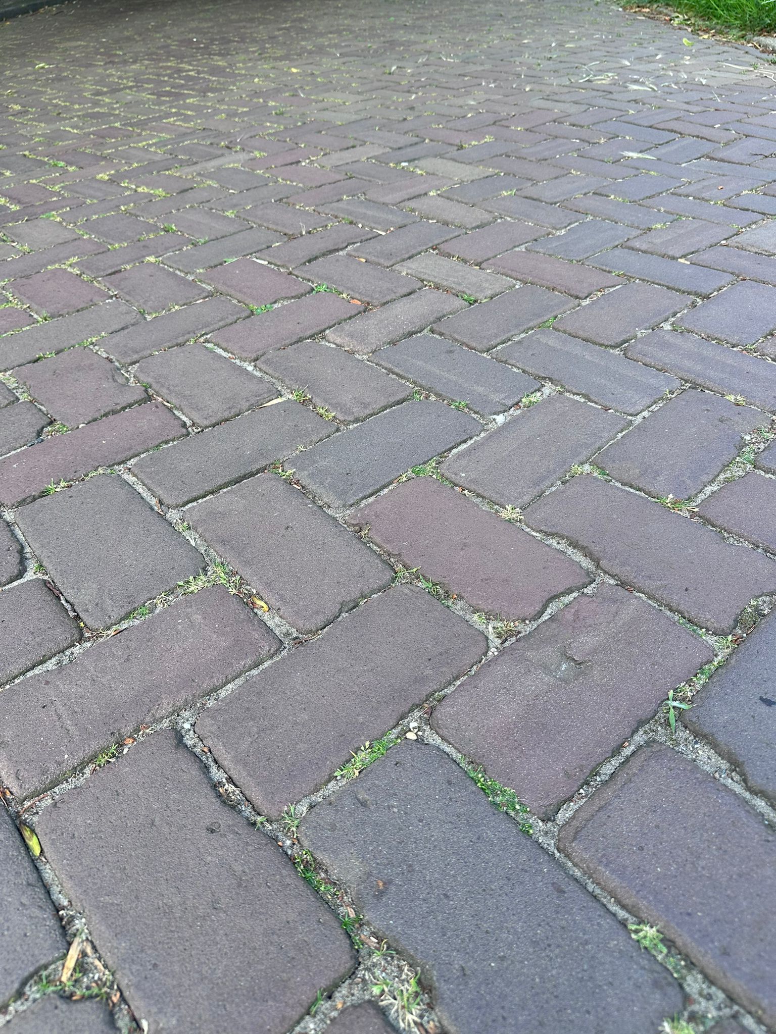 Keiformaat paars (P71)
